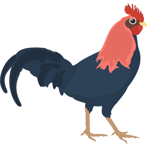 đá gà ad88