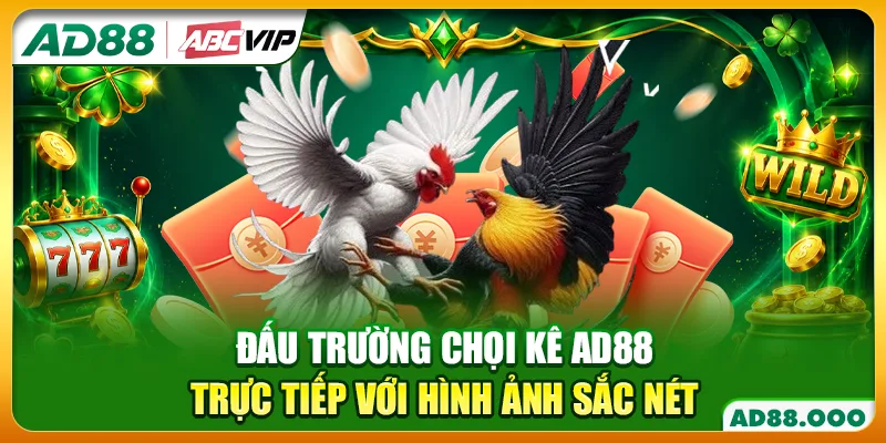 Đấu trường chọi kê AD88 trực tiếp với hình ảnh sắc nét