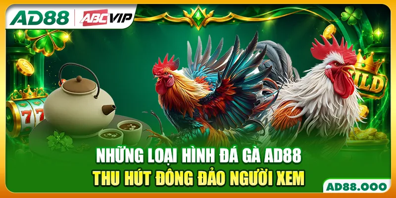 Những loại hình đá gà AD88 thu hút đông đảo người xem