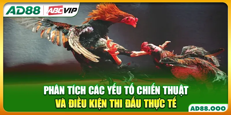Phân tích các yếu tố chiến thuật và điều kiện thi đấu thực tế