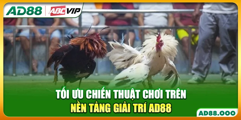 Tối ưu chiến thuật chơi trên nền tảng giải trí AD88